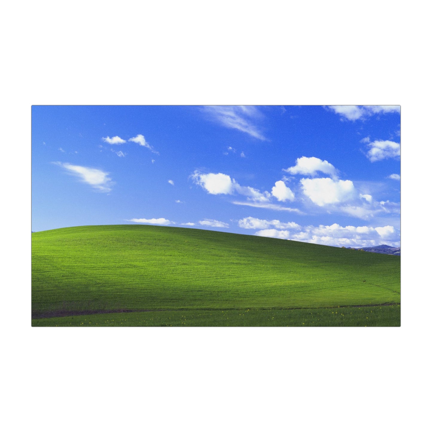 Bliss (Windows XP) Bumper Magnets