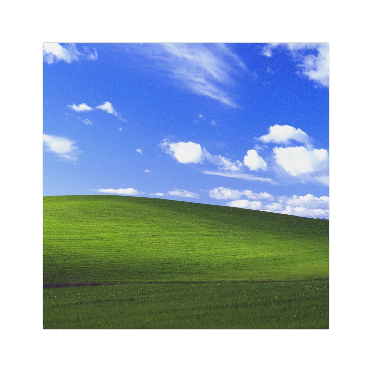 Bliss (Windows XP) Bumper Magnets