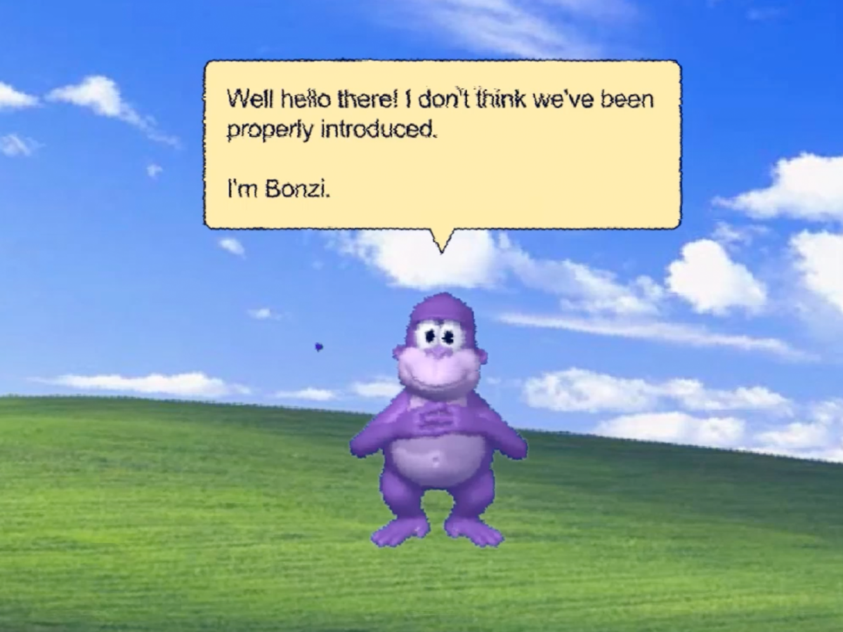 Bonzi Buddy Hat