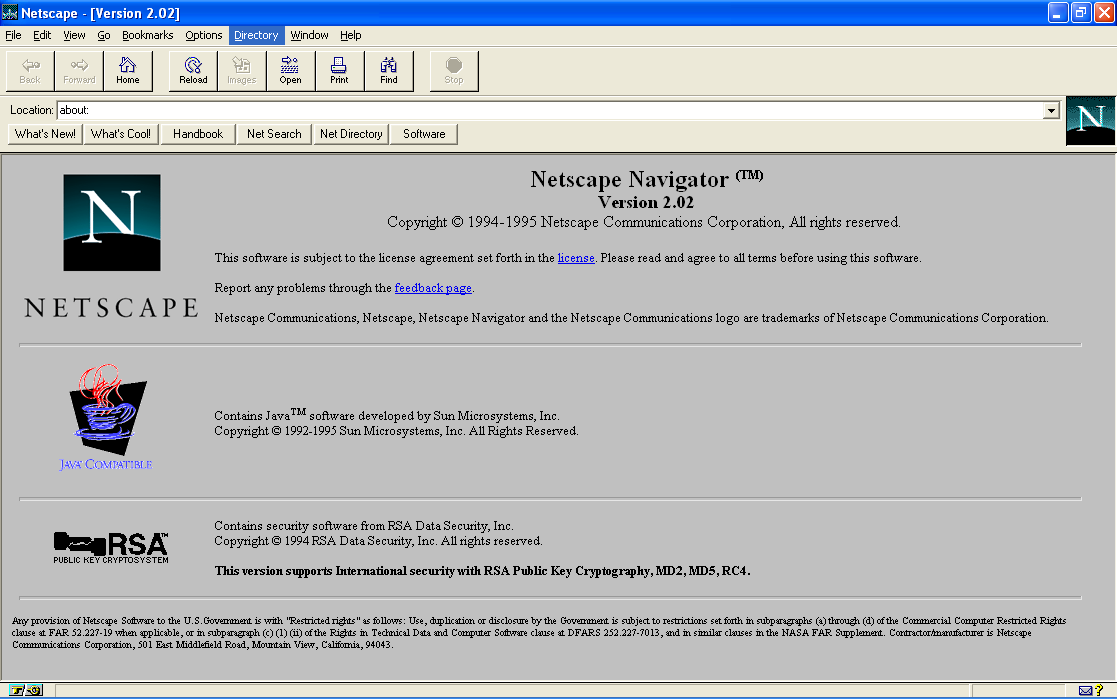 Netscape Navigator hat