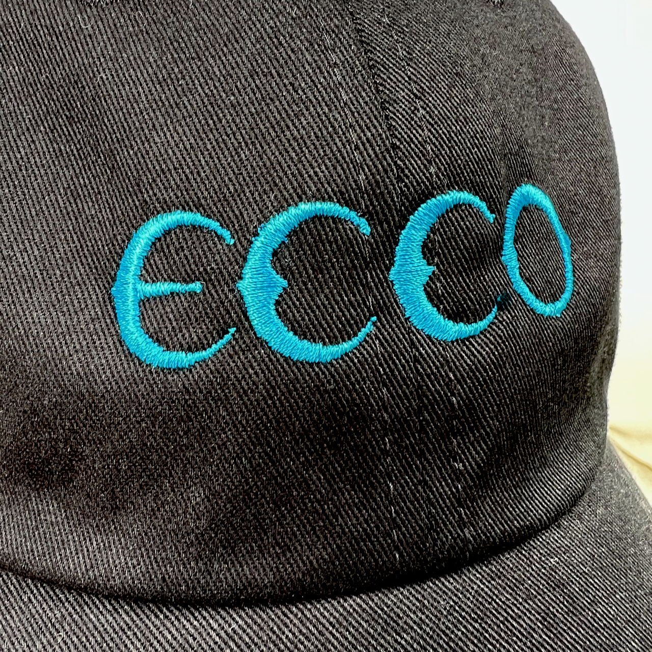Ecco the Dolphin logo Hat